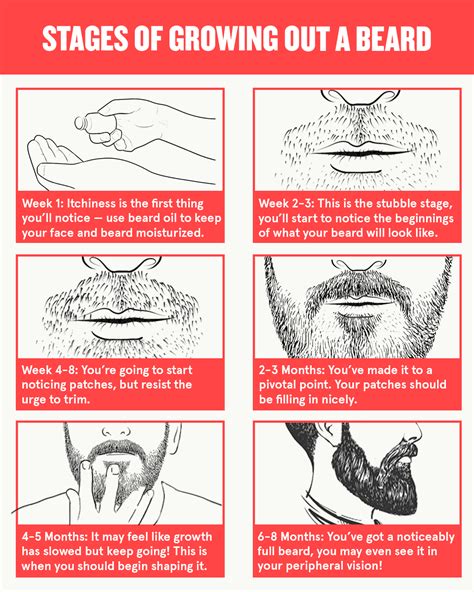 The Ultimate Guide To Growing A Beard