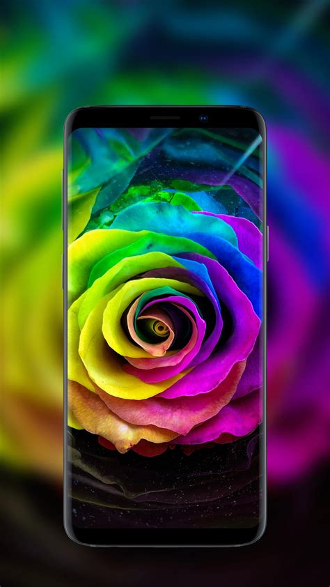 🌺 Flower Wallpapers Colorful Flowers In Hd And 4k For Android Apk