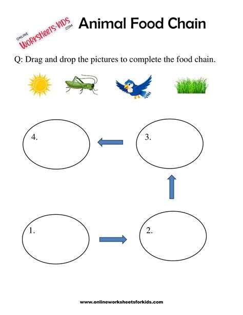 Animal Food Chain Worksheet For Grade 1 9