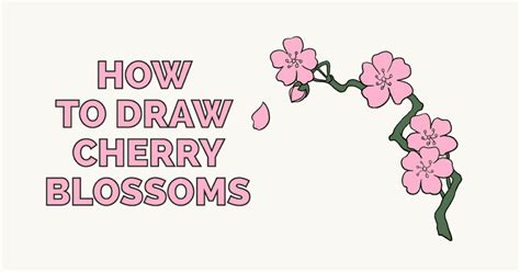 How To Learn To Draw Step By Step