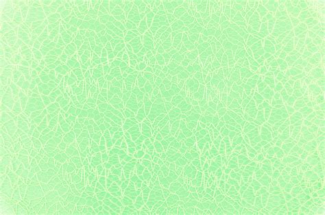 New Bright Light Green Background Stock Photo Download