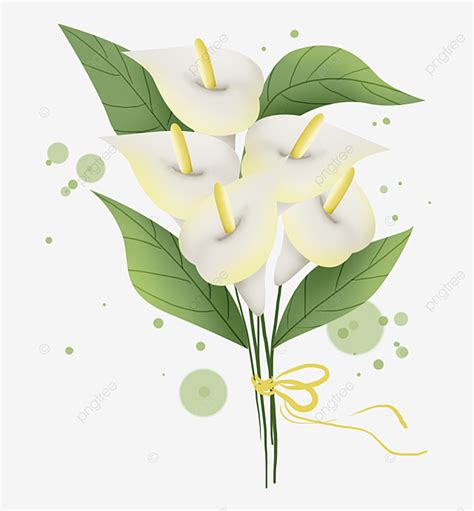 White Calla Lily Bunch Lily Clipart White Calla Valentine S Day Gift