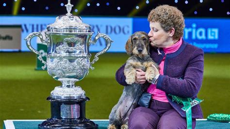 Crufts 2023 What Is The Famous Dog Show All About Bbc Newsround