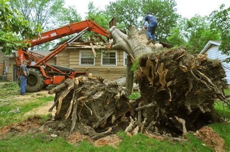 Tree Removal Cost Traversecityroofingnet
