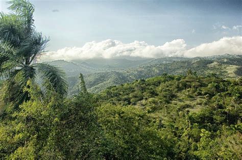 Parque Nacional José Armando Bermúdez