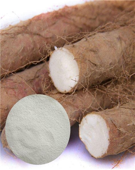 Wild Yam Root Extract Powder Diosgenin 95 Powder Capsules China Wild Yaw P E And Diosgenin