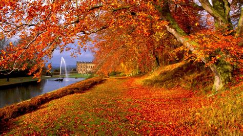 Latest Top Hd Autumn Wallpapers Hdimagesplus