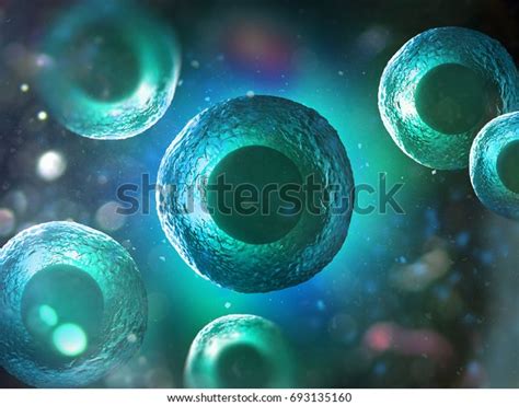 Human Animal Cell Under Microscope 3d Stock Illustration 693135160