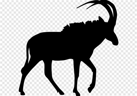 Sable Antelope Pronghorn Nyala Gazelle Horse Animals Png Pngegg