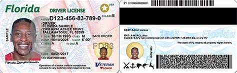 Florida Drivers Licenses Getting New Look