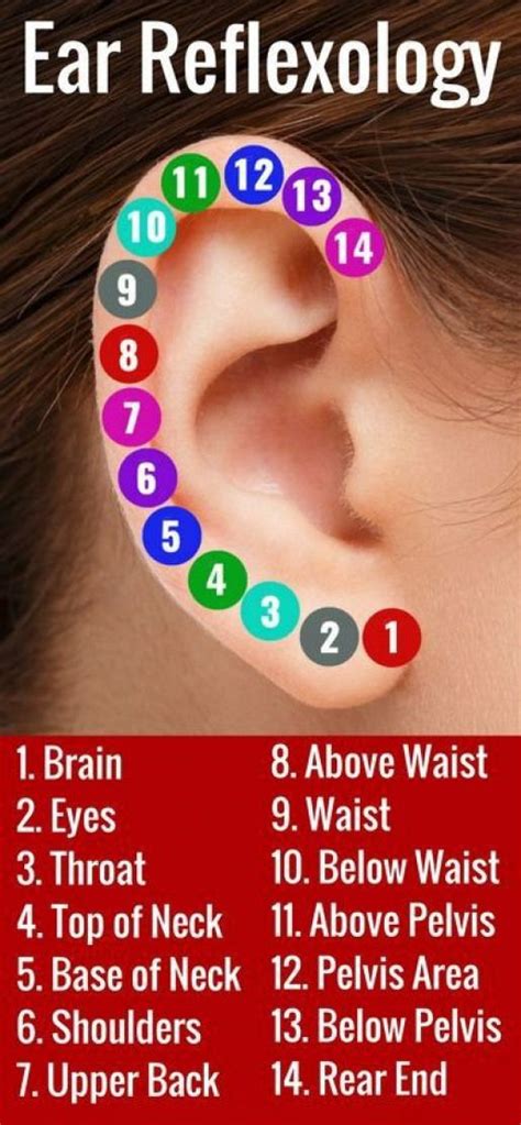 Pressure Points For Ear Pain