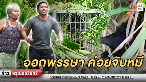 ข่าวลุงพลล่าสุดวันนี้ อมรินทร์ - 5health-care