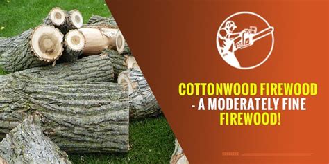 Cottonwood Firewood A Moderately Fine Firewood