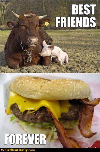 Funny Pictures Weirdnutdaily Like Burgers And Bacon