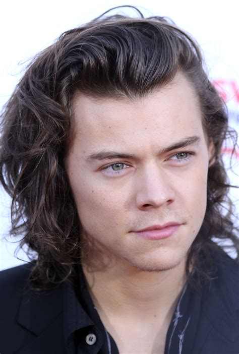 Harry Styles Harry Styles Harry Styles Photos Harry Styles Pictures Kulturaupice