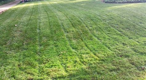 Lawn Maintenance In Atlanta Ga Lawn Mowing Weeding Trimming