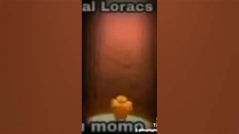 Al Loracs No Le Gusto Tu Momo Youtube