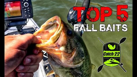 Top 5 Fall Bass Baits YouTube