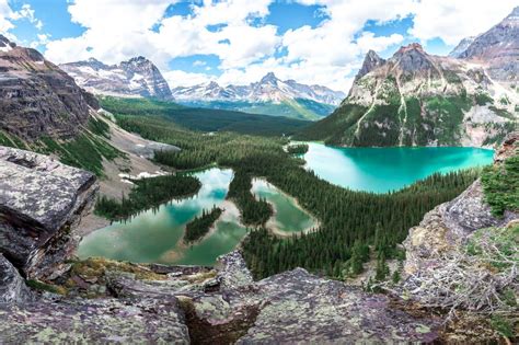 Complete Guide To Lake Ohara Our Favorite Back Country Campground In