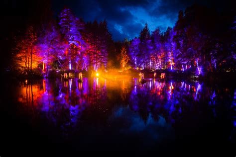 Video Watch Stunning Drone Footage Of Perthshires Enchanted Forest