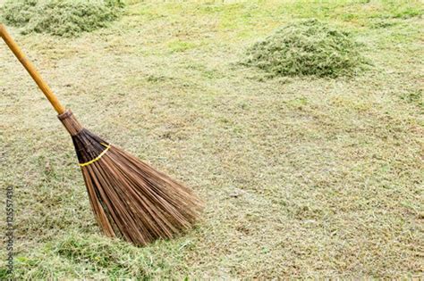 Broom With Grass In The Garden Stock Photo Adobe Stock