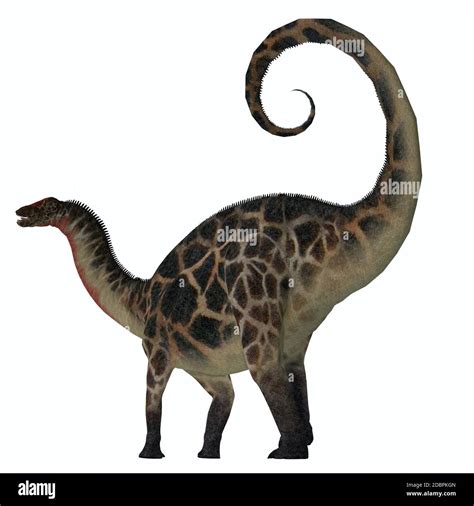 Dicraeosaurus Was A Sauropod Herbivorous Dinosaur That Lived In The