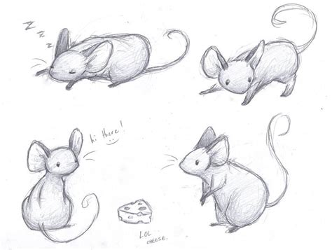 Cute Mice Drawings Images And Pictures Becuo