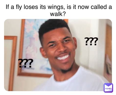 If A Fly Loses Its Wings Is It Now Called A Walk Laurend Memes