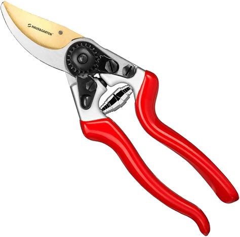 5 Best Pruning Shears Hand Pruners For Your Garden Plants