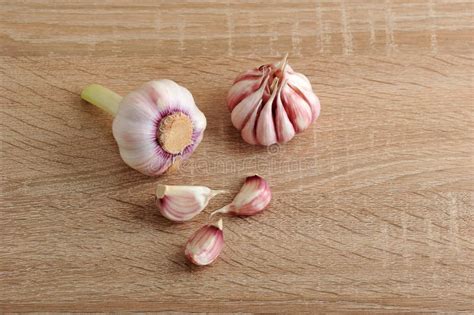 Garlic Whole Garlic Bulb And Garlic Cloves Stock Image Image Of