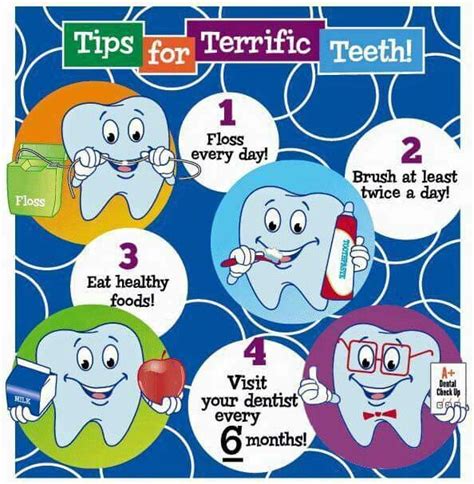 Pin By Bizeau Dental On Teeth Dental Care For Kids Dental Posters