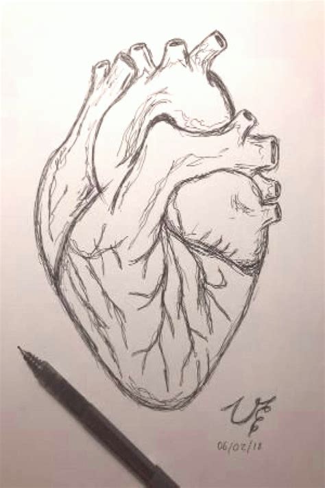 √ Heart Pencil Drawing