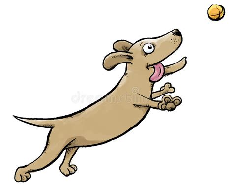 Dog Fetching Ball Stock Illustration Illustration Of