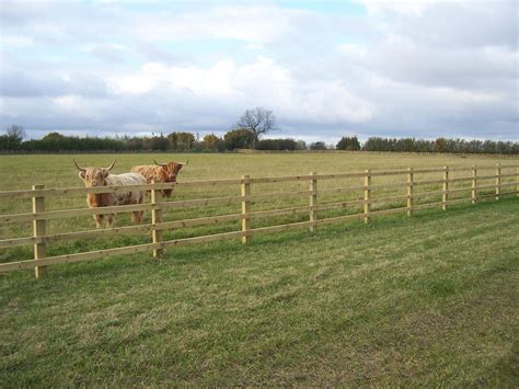 Wooden Post And Rail Fencing Mark Vigrass Ltd