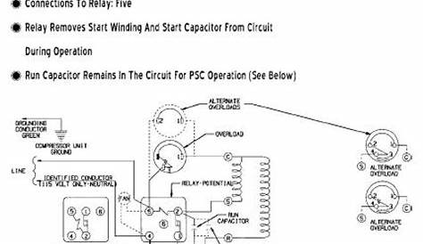 split capacitor motor wiring diagram hecho