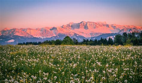 Alpenglühen Im Frühling Foto And Bild Landschaft Berge Gipfel Und