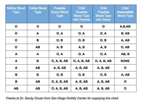 Blood Type Compatibility With An Egg Donor