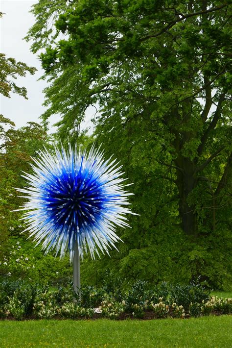 Dale Chihuly Sapphire Star Chihuly Reflections On Nature Flickr