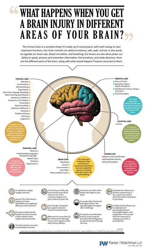 Infographic What Happens When You Get A Brain Injury In Different