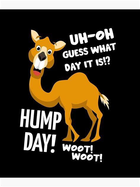 Funny Hump Day Camel Poster By Hotfromoven Redbubble