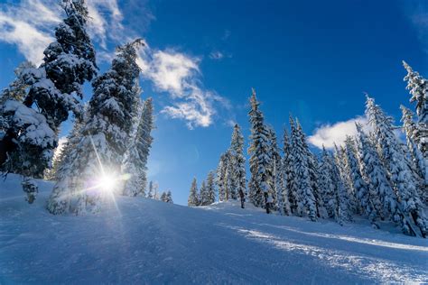 Красивый Зимний Пейзаж Картинки В Лесу Telegraph