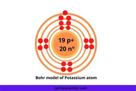 Potassium Bohr Model Diagram Steps To Draw Techiescientist My Xxx Hot Girl