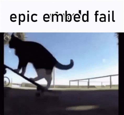 Epic Embed Fail Cat GIF Epic Embed Fail Cat Cat Skateboard знаходьте анімації GIF і