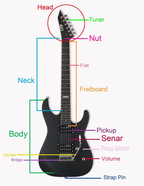 Menurut fungsinya penggolongan alat musik menurut fungsinya terbagi menjadi tiga yaitu a. Nama Bagian Gitar Akustik Dan Elektrik Yang Perlu Kamu Tau - Belajar Gitar Online