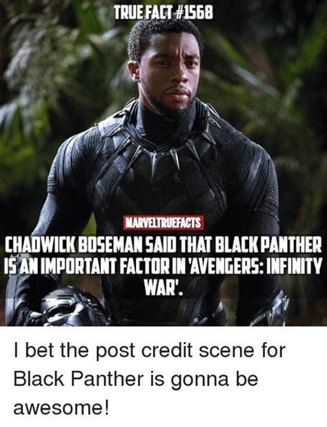 Funny Black Panther Memes Funny Memes