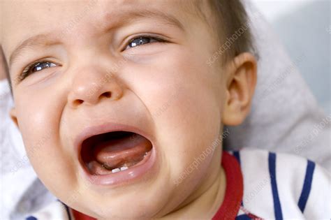 Baby Boy Crying Stock Image C0267693 Science Photo Library