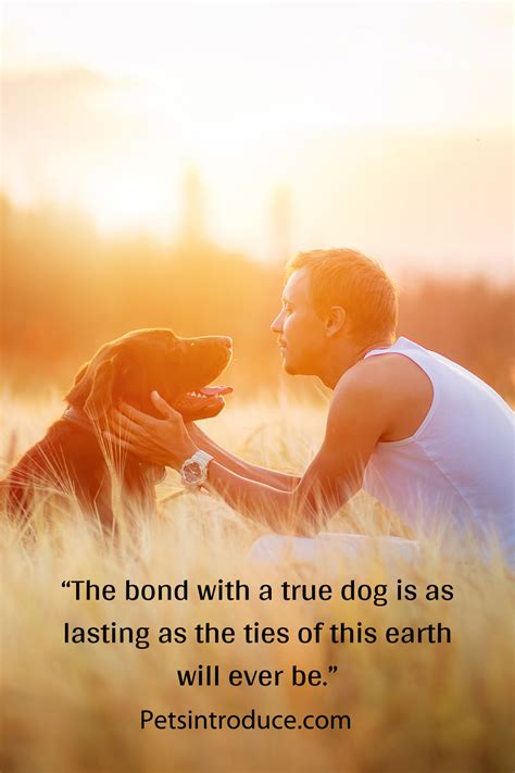 Dog Friendship Quotes Pets Introduce Dog Best Friend Quotes Cute