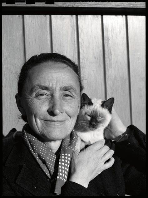 Portraits Of Famous Artists And Their Cats Famous Artists Georgia O