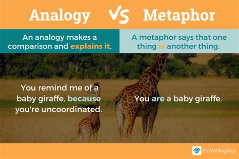 Analogy Definition Meaning With Examples The Grammar Guide