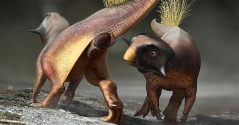 First Dinosaur Butt Discovered And Described In Too Much Detail